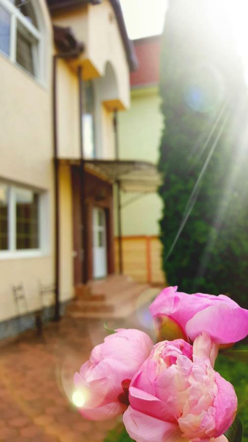 Vila Alfa Dumbrava Sibiu Exterior photo